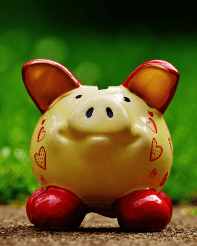 Opening a Business Bank Account for a Florida LLC