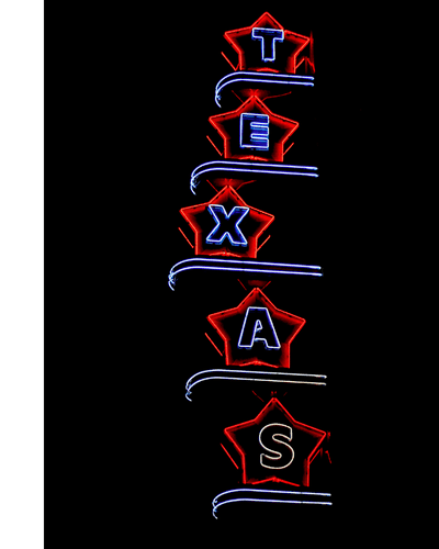 Can My Business Domesticate or Convert from a Texas LLC to a Florida LLC?