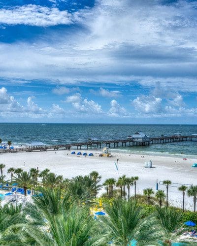 How to Domesticate or Convert a Michigan LLC to a Florida LLC With Our Attorney