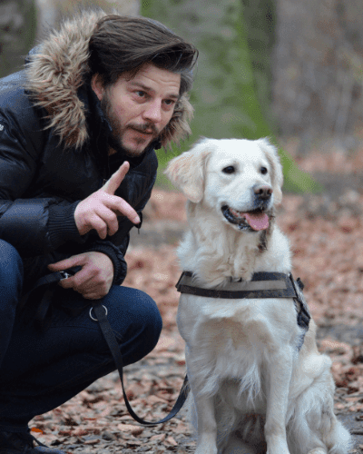 Can You Include Your Dog in Your Will? Estate Planning and Pets