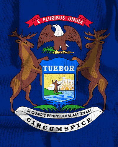 Can You Convert or Domesticate a Michigan Corporation to Florida?