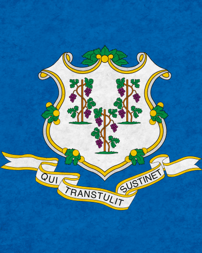 Can You Domesticate a Connecticut Corporation in Florida Without a Lawyer?