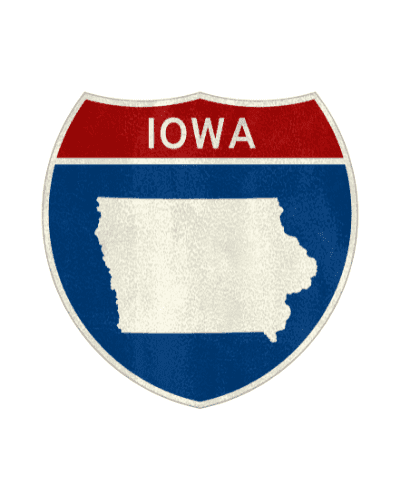 What Are the Dangers of Moving, Converting, or Domesticating an Iowa Corporation to Florida Alone?