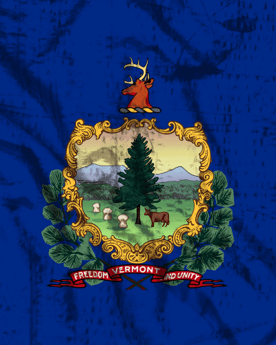 Can You Domesticate a Vermont Corporation to Florida?