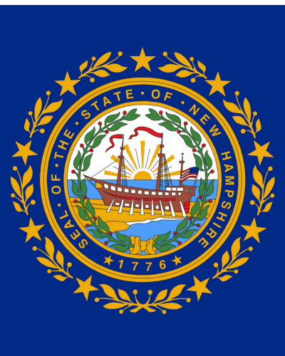 How to Change, Domesticate, or Convert a New Hampshire LLC to a Florida LLC