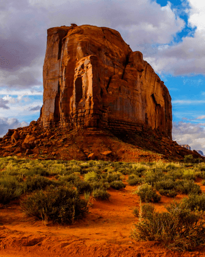 Can You Domesticate a New Mexico Corporation to Florida?